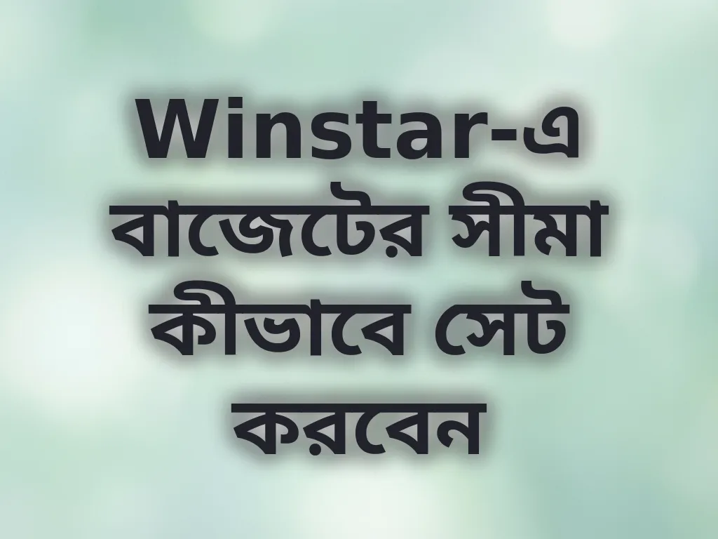 বাজেট লিমিট গাইড